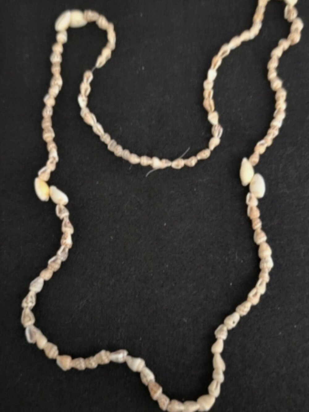 GORGEOUS VINTAGE 36" LONG CLUSTERED SMALL SEASHELL NECKLACE NN